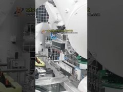 অটোমোটিভ পার্টস সমাবেশের জন্য ডুয়াল-রোবট ক্লিপ ইনসার্টিং সেল